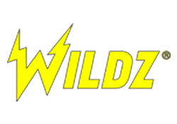 Wildz Logo